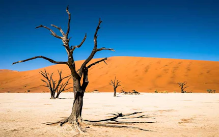 blog namibia quando piccolo